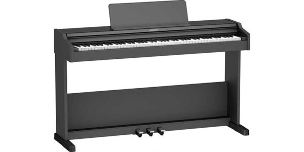 ROLAND RP107