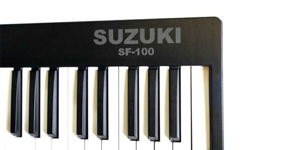 suzuki100